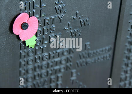 Gedenktag einzelne Poppy Warrington Kenotaph Nov 2014, Bridgefoot, Wilderspool Causeway, Cheshire, England, UK Stockfoto