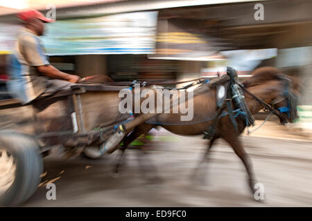 Pferd Wagen auf Gili Air Island, Indonesien. Stockfoto