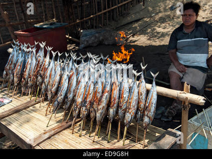 Cakalang Fisch zum Verkauf an einem Straßenrand stall zwischen den Städten Maumere und Moni auf der Insel Flores, Indonesien. Stockfoto