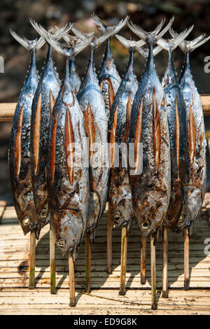 Cakalang Fisch zum Verkauf an einem Straßenrand stall zwischen den Städten Maumere und Moni auf der Insel Flores, Indonesien. Stockfoto