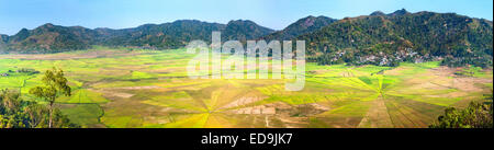 Panoramablick von Sawah Sarang Laba-Laba (Spider Web Reisfelder) in der Nähe von Ruteng auf der Insel Flores, Indonesien. Stockfoto