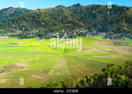 Sawah Sarang Laba-Laba (Spider Web Reisfelder) in der Nähe von Ruteng auf der Insel Flores, Indonesien. Stockfoto