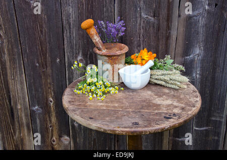 Mörser auf alten Tisch und verschiedenen medizinischen Kräutermedizin Sommerblumen Stockfoto