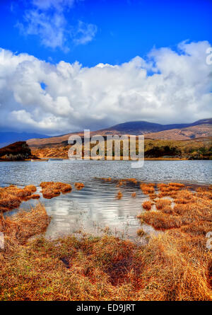 Bekannte Szenen aus der Dingle Halbinsel, Irland Stockfoto