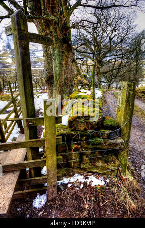 Gute Beschilderung ist unerlässlich, Swaledale in der Yorkshire Dales National Park, wie gesehen 2 Meilen von Low Row Stockfoto