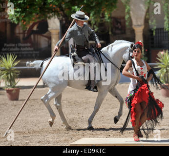 Reitsport Show im Marstall (Caballerizas Reales), Cordoba, Spanien Stockfoto