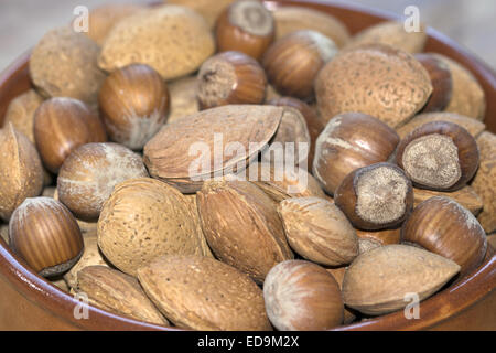 trockene Frucht mit Schale: Mandeln, Haselnüsse, Pinienkerne, Walnüsse Stockfoto