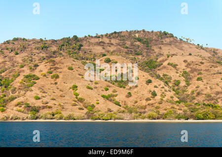 Küste und die Landschaft der Insel Komodo der Küste der viel größeren Flores Insel, Ost-Nusa Tenggara, Indonesien. Stockfoto