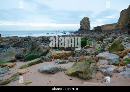 Meer-Stacks in Marsden Bay, Sunderland, Tyne and Wear, Großbritannien Stockfoto