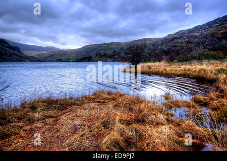 Die erstaunliche und beeindruckende Landschaft aus um Llyn Cwellyn im Snowdonia National Park, Wales. Stockfoto