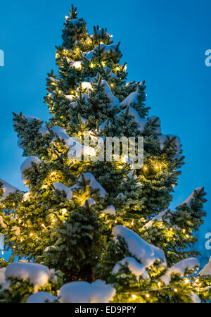 Festlich geschmückten Weihnachtsbaum Tanne draußen im Schnee. Schneebedeckte Zweige, warmes Licht, kalten Hintergrund. Stockfoto