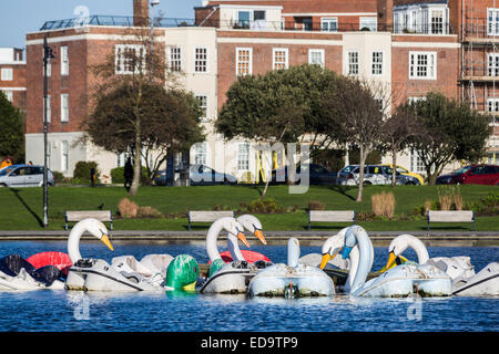 Schwan geformt Sportboote (Tretboote) am Canoe Lake, einen See mit Booten in Southsea, Portsmouth, UK Stockfoto
