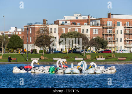 Schwan geformt Sportboote am Canoe Lake, einen See mit Booten in Southsea, Portsmouth, UK Stockfoto