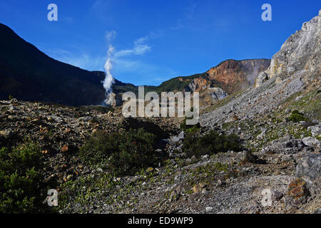 Mount Papandayan Krater. Stockfoto