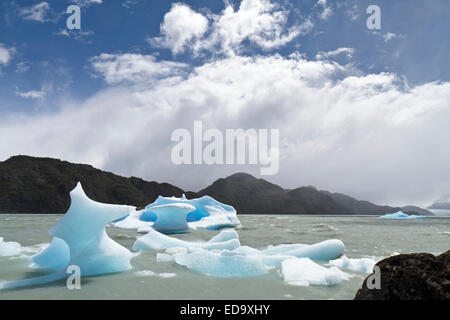 Eisberge und Eisformationen auf See grau im Torres del Paine Nationalpark Stockfoto