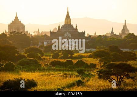 Silhouette der buddhistischen Pagoden bei Sonnenaufgang, Ebene von Bagan, Myanmar. Stockfoto