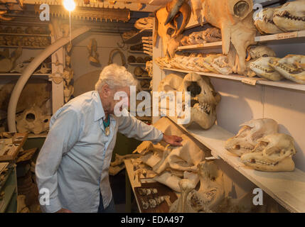 Ray Bandar Knochensammler Stockfoto