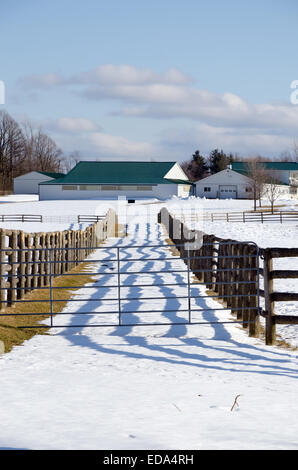 Bauernhof Zaun und Linien der Schatten im winter Stockfoto