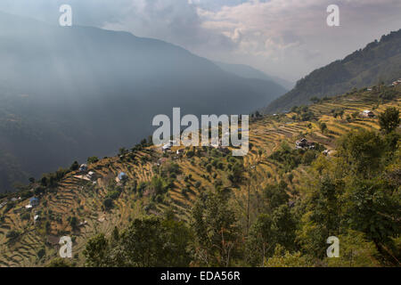 Landwirtschaft in der Nähe von Berg Dorf von Ghandruk in den Modi Khola Tal rund 2000 Meter Stockfoto