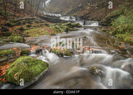 Eine Reihe von kleineren Wasserfällen an der berühmten Maßstabsleiste zwingen, Yorkshire Dales Stockfoto