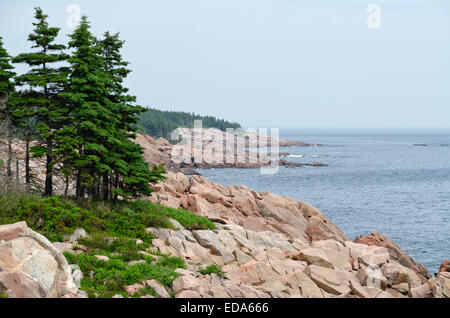 Küste von Breton-Highlands-Nationalpark in Nova Scotia, Kanada Stockfoto