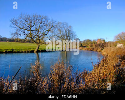 Obere Pfeil Pool, Pfeil Fluss Cofton Hackett, Worcestershire, England, Vereinigtes Königreich Stockfoto