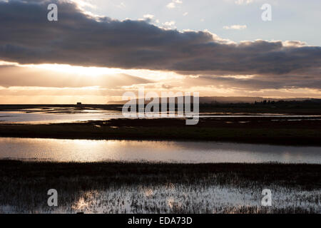 Rye Harbour Nature Reserve, ein Winterabend mit Fairlight Cliffs in der Ferne Stockfoto