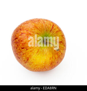 Apfel (Malus X domestica) Sorte "Cameo" auf weißem Grund Stockfoto