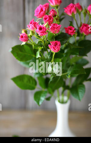 Rosa Rosen in einer Vase, Blumen Stockfoto