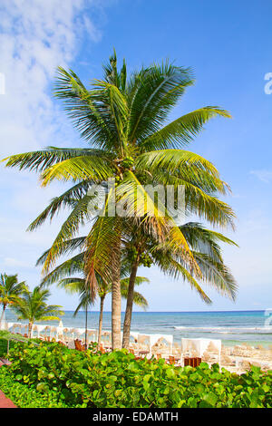 Sandstrand in Cancun, Mexiko Stockfoto