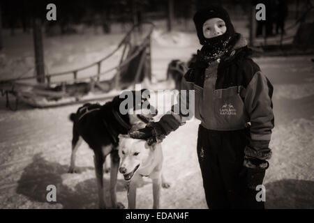 Junge tätschelte husky Hund in Lappland Stockfoto