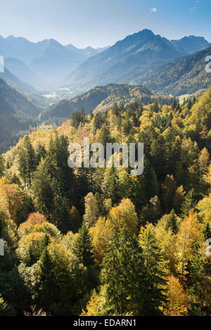 Bergwald im Herbst mit Bergen im Gegenlicht Stockfoto