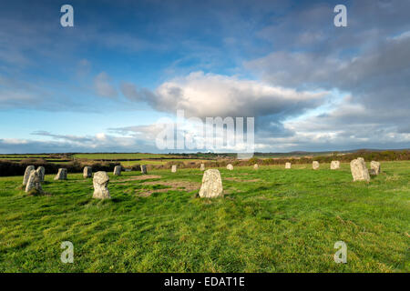 Die Merry Maidens Jungsteinzeit Stein Kreise ordentlich St Buryan im äußersten Westen von Cornwall - auch bekannt als die Morgenröte Männer. Stockfoto