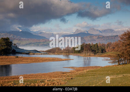 Wise Een Tarn auf Seenplatte Claife Heights, in der Nähe von in der Nähe von Sawrey, Cumbria Stockfoto