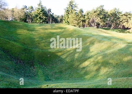 Die Gräben und Krater auf Schlachtfeld von Vimy ridge Stockfoto