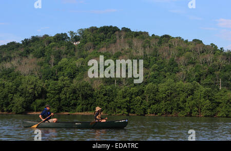 Toten Eschen von Ash Borer Käfer am Ohio River Kentucky Stockfoto