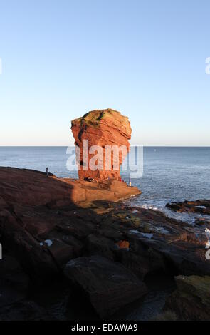 Die Deil Heid Meer Stack in der Nähe von Arbroath Angus Scotland März 2014 Stockfoto