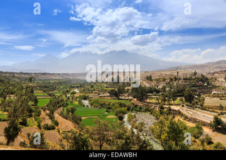 Panoramablick vom Arequipa Rio Colca in den Colca Canyon über Terrassen zur schneebedeckten Vulkanen und Bergen Stockfoto