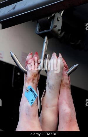 Schweinehälften auf LKW vor einem Metzger Geschäft, London, UK Stockfoto