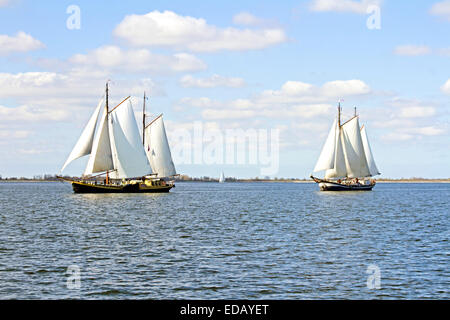 Traditionelle Segelschiffe auf dem IJsselmeer in den Niederlanden Stockfoto