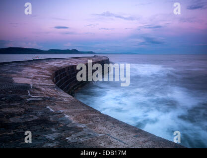 Sonnenuntergang über den Cobb in Lyme Regis, Dorset, England, UK Stockfoto