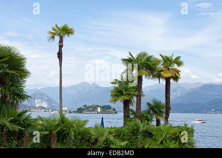 Isola Bella gesehen von Stresa, Lago Maggiore, Piemont, Italien Stockfoto