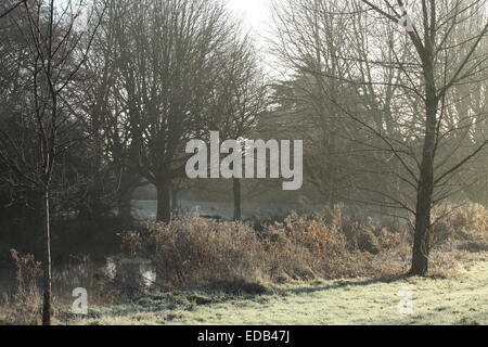 Frostiger Morgen durch den Fluss Colne in Colchester, Essex, nur außerhalb der unteren Schlosspark. Stockfoto