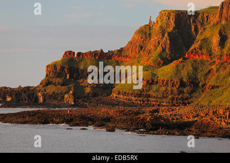 Der Giant's Causeway, Nordirland Stockfoto