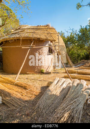 Swasiland, Afrika - Bau einer traditionellen Bienenstock-Hütte von strohgedeckten Trockenrasen im Naturreservat Phophonyane gebildet Stockfoto