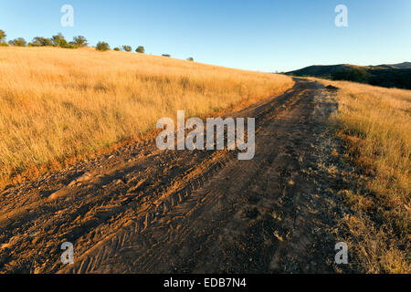 Landstraße, Santa Cruz County, Arizona Stockfoto