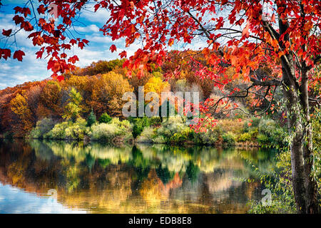 Bunte Bäume Spiegelungen im See, Runde Talsperre, Hunterdon County, New Jersey Stockfoto