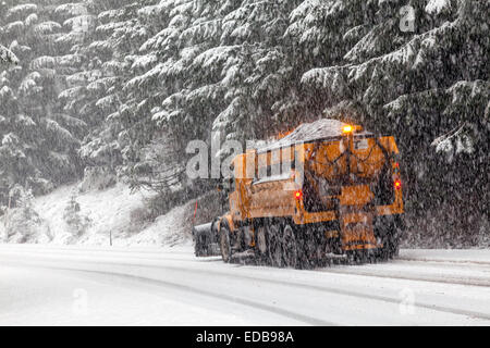 Schnee zu pflügen und Schlacke LKW Pflügen Straßen- und Abwurf Asche auf Kurve während Schneesturm auf Tombstone Pass, Kaskaden, Oregon, USA. Stockfoto