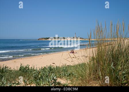 Strand, Cabo de Trafalgar, Los Canos de Meca, Costa De La Luz, Andalusien, Spanien Stockfoto