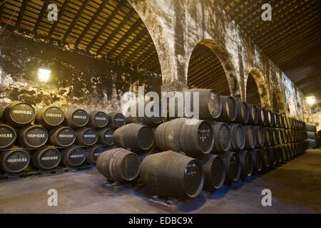 Sherry-Fässer in die Osborne Bodega El Puerto de Santa María, Costa De La Luz, Andalusien, Spanien Stockfoto